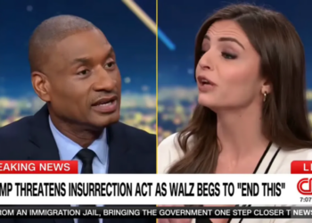 ‘Is that what I said?!’ CNN panel melts down over DHS art on social media