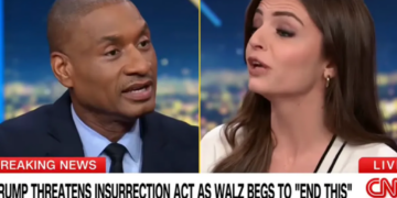 ‘Is that what I said?!’ CNN panel melts down over DHS art on social media