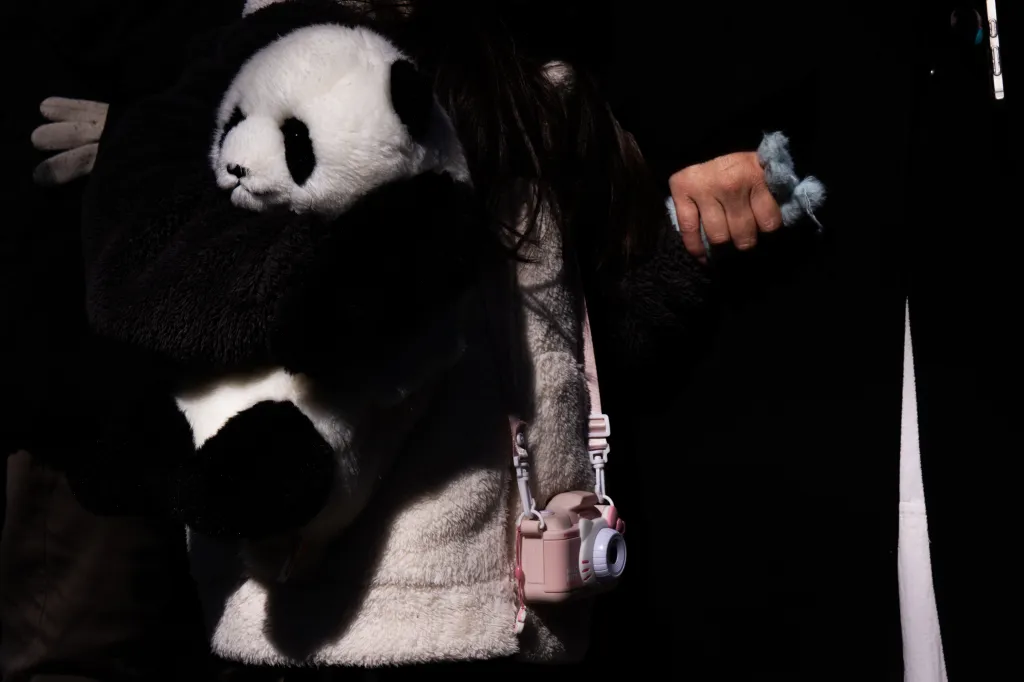 A child holds a stuffed panda while waiting on line to see the real life thing.