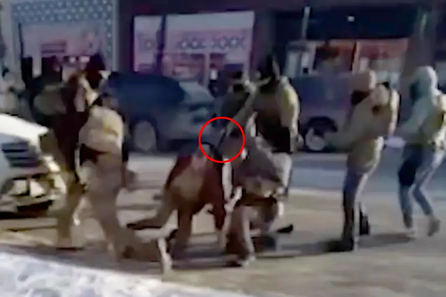 Chilling videos captured new angles of the chaotic moments before federal agents fatally shot an armed man who they say attempted to interfere in the arrest of a criminal migrant in Minneapolis.