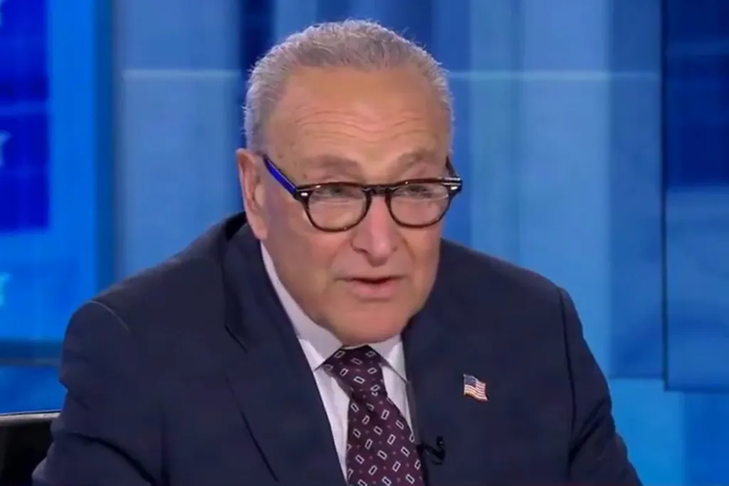 Chuck Schumer on ABC's 'This Week.'
