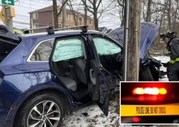 6-year-old girl and 90-year-old man killed in horrific NYC car crash