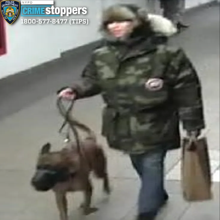 The suspect then fled the subway station with the dog to an unknown area.