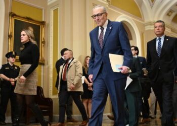 Democrats Block Spending Package as D.H.S. Talks Continue