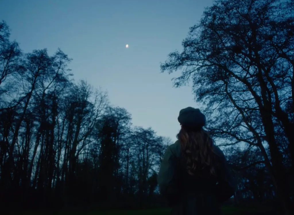 A person with long, wavy brown hair and a dark beret looking up at the moon in a twilight sky, surrounded by dark, bare trees.