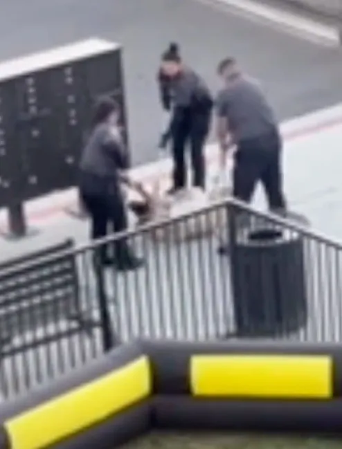 Three officers handling a dog on the ground.