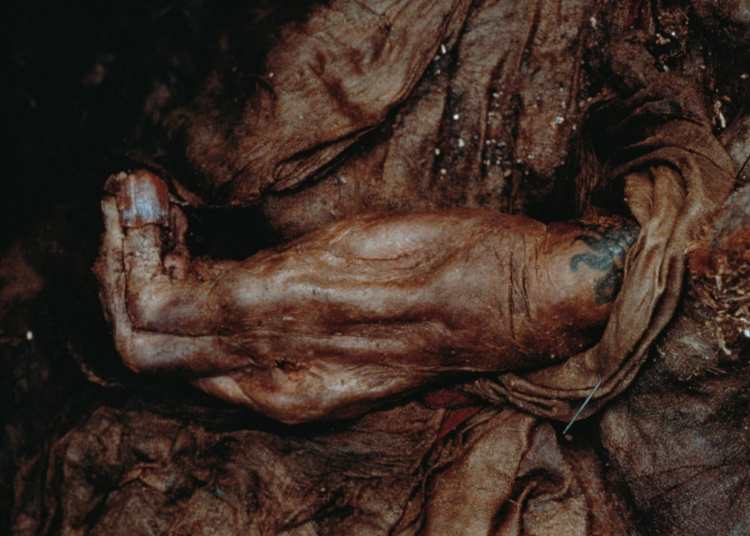 Ancient Siberian Mummy Was an Inbred Shaman, DNA Reveals