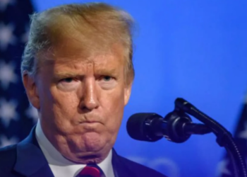 Ex-Trump aide begs president to ‘please’ halt Minnesota ICE operation: ‘Stop this’