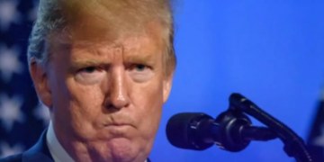 Ex-Trump aide begs president to ‘please’ halt Minnesota ICE operation: ‘Stop this’