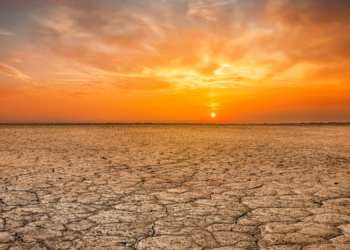 What Experts Mean When They Say the World Is in ‘Water Bankruptcy’