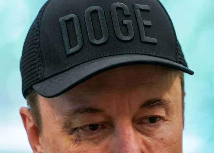 ‘One of the dumbest people on earth!’ Congress member goes scorched earth on Elon Musk