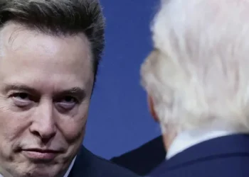 MAGA being torn apart by right-wing squabbles as Elon Musk’s X makeover backfires: report