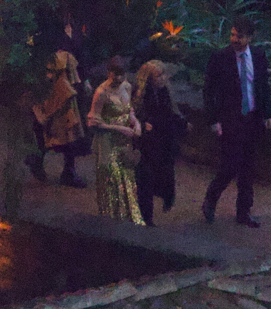 Taylor Swift, Stevie Nicks, and Este Haim at Este Haim's New Year's Eve wedding.