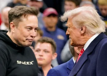 ‘I’m begging you’: Elon Musk gets impassioned plea as he gets ‘back on the Trump train’