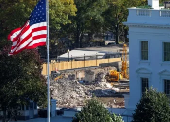 Trump loads review panel with loyalists to fast-track controversial White House project