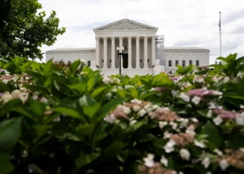 Supreme Court empowers GOP lawmaker to sue over mail-in voting laws