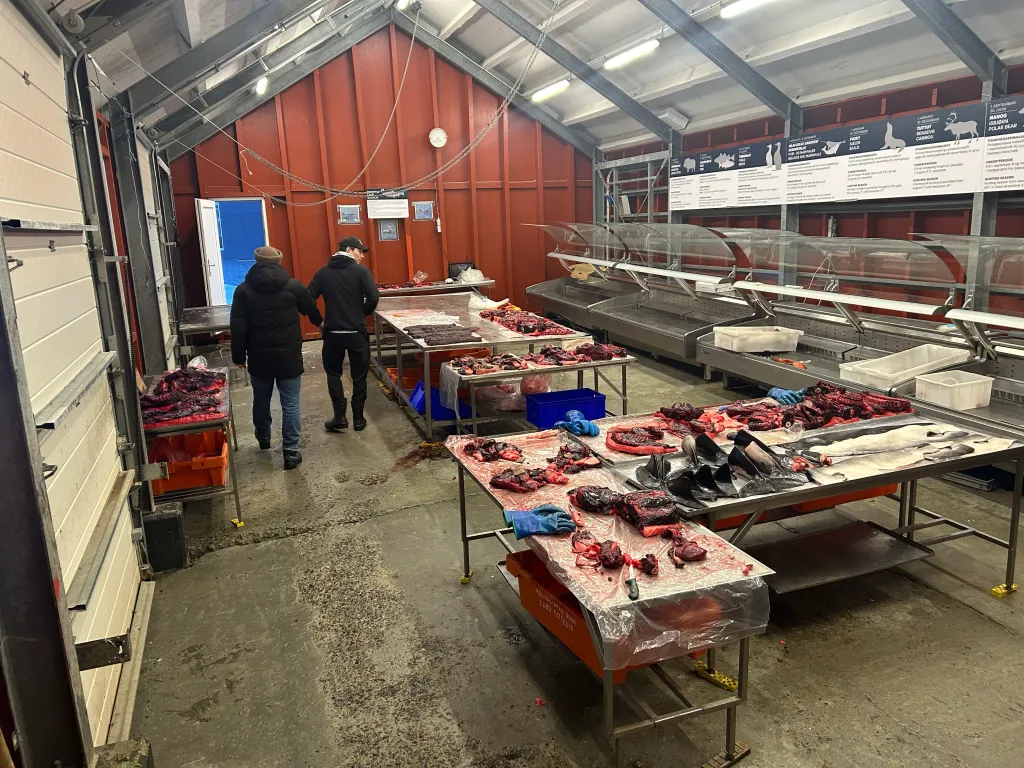 A fish market in Greenland with men in winter coats standing near tables of various raw fish and marine animal parts, including whale meat and fish heads.