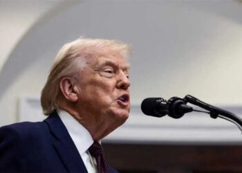 Trump’s fear of midterm election loss could spark ‘Civil War’-like response: expert