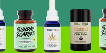 Where to buy CBD gummies, oils, more online — The 9 brands we tested hit different