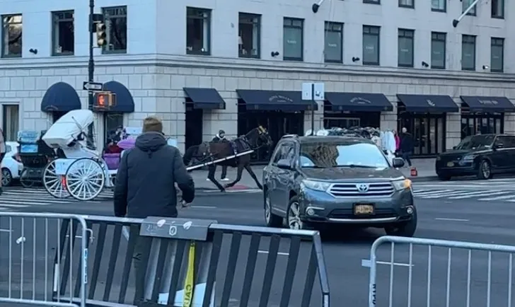Horse-drawn carriage and SUV in a city street.
