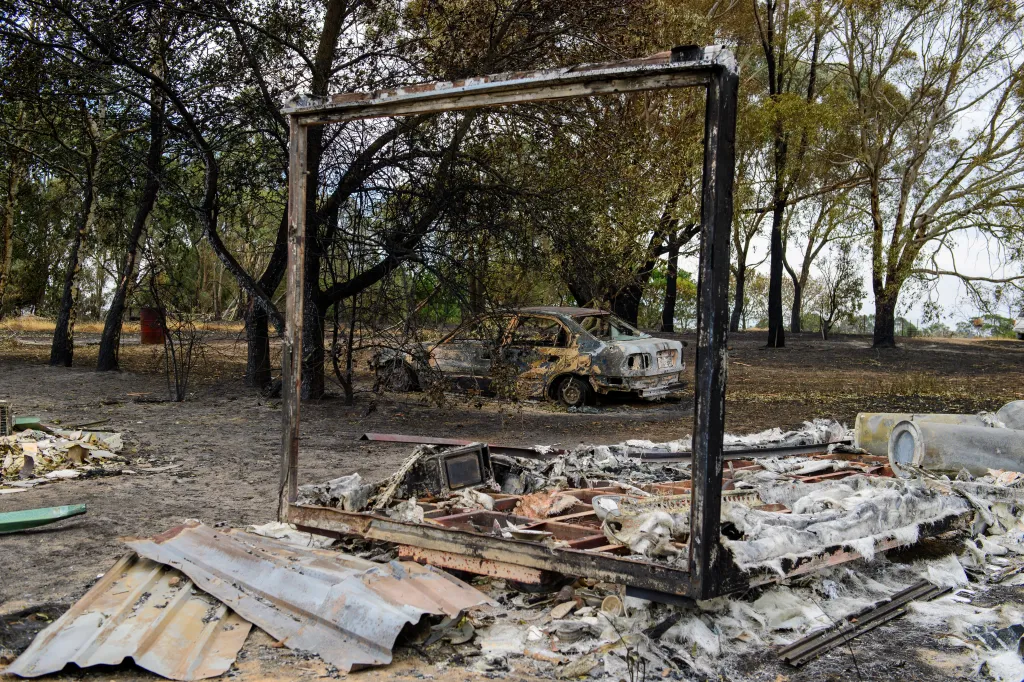 Remains of a burnt shipping container frame a destroyed car and charred trees in Upton Hill.