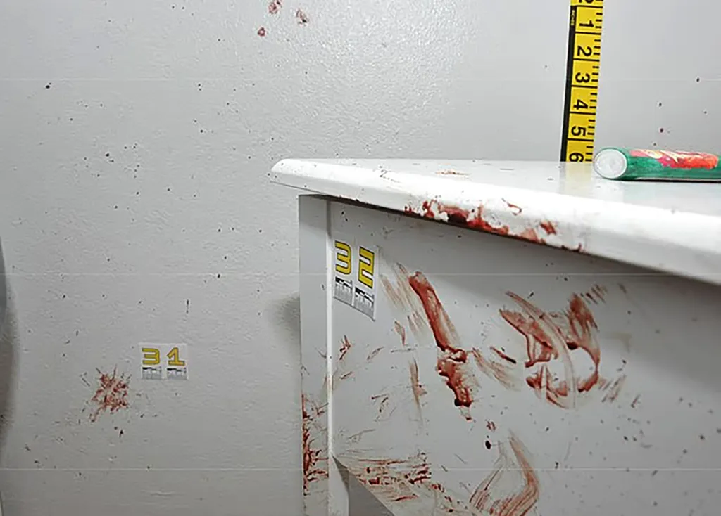 Blood stains smeared on a wall inside the murder scene.