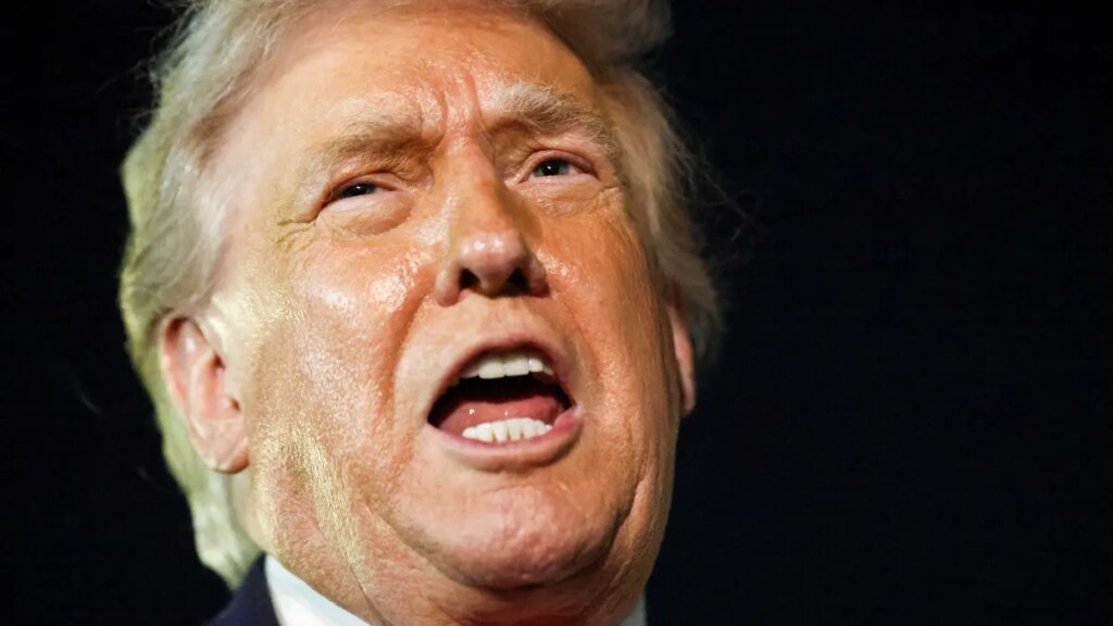 Trump’s niece warns his latest ‘extortion’ scheme presents an ‘increasing danger’