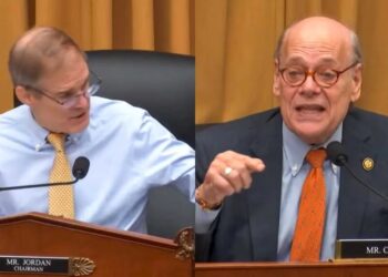 Dem upends Jim Jordan’s hearing to unload on ‘Cruella Noem’ for ‘unjustified’ killing