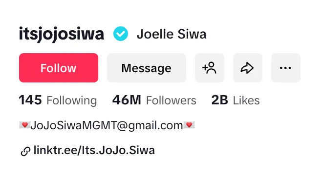 Joelle Siwa TikTok bio.