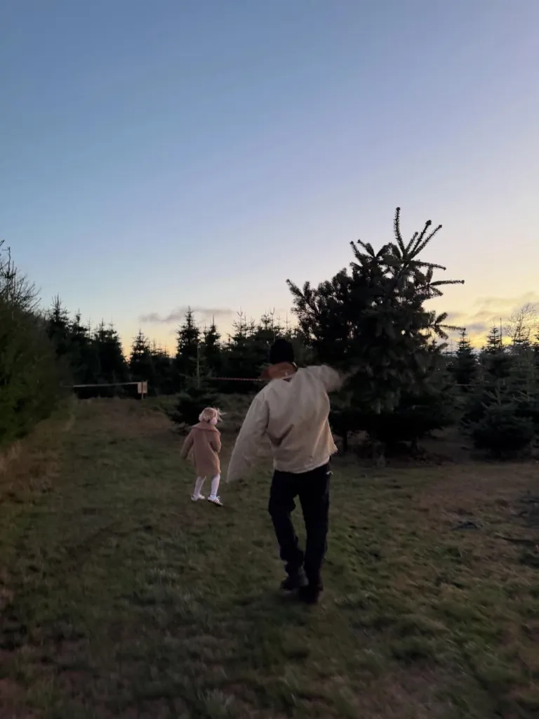 A person carries a Christmas tree with a child walking in front of them in a field of trees at dusk.