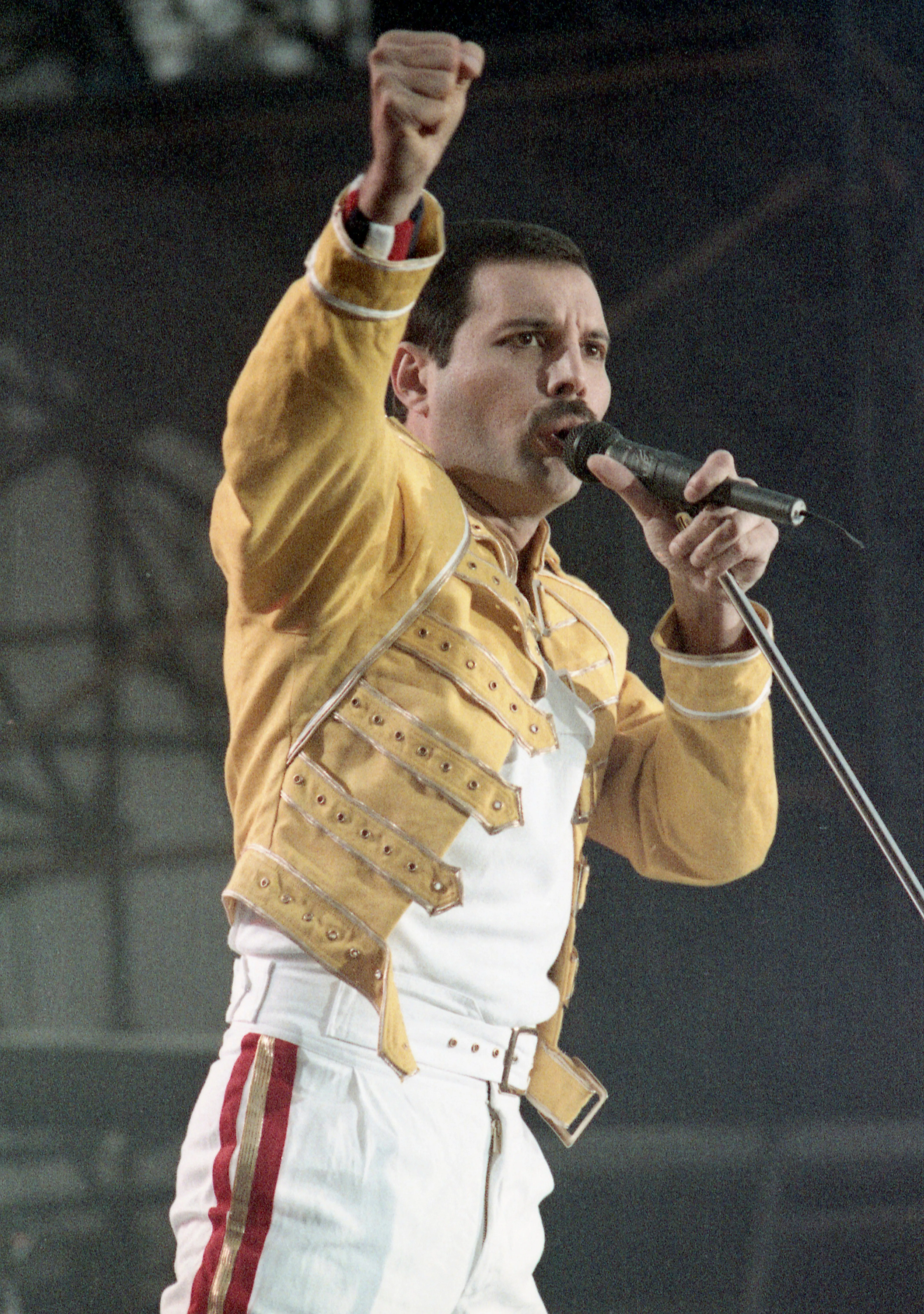 Freddie Mercury died on Nov. 24, 1991.