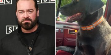 Grammy-nominated country singer Lee Brice begs for help in search for family’s lost pregnant dog