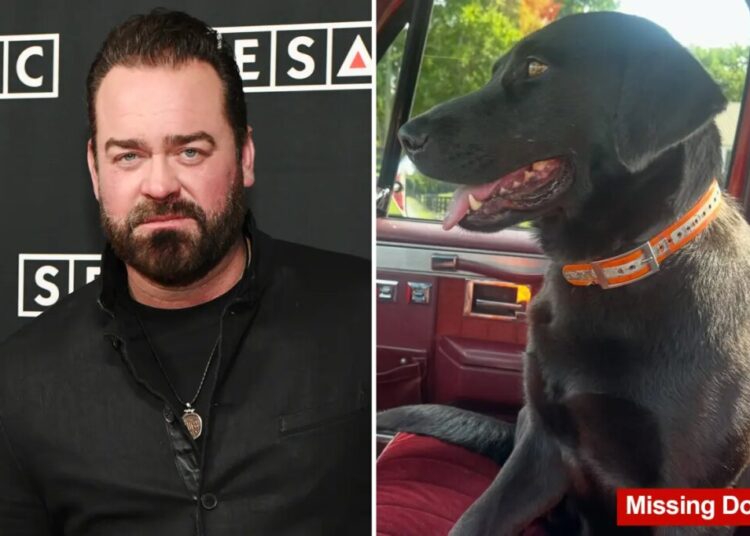 Grammy-nominated country singer Lee Brice begs for help in search for family’s lost pregnant dog