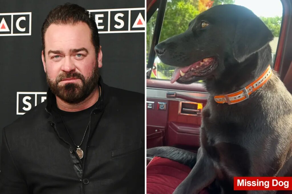 Grammy-nominated country singer Lee Brice begs for help in search for family’s lost pregnant dog