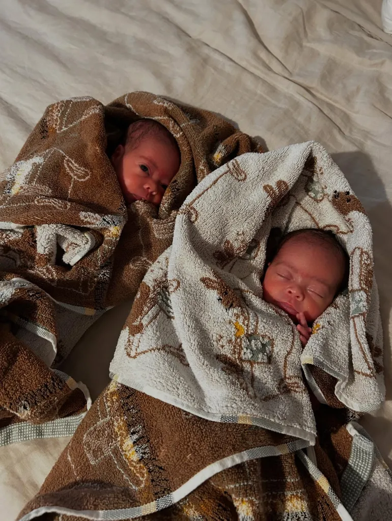 Two newborn babies wrapped in patterned brown and white blankets.