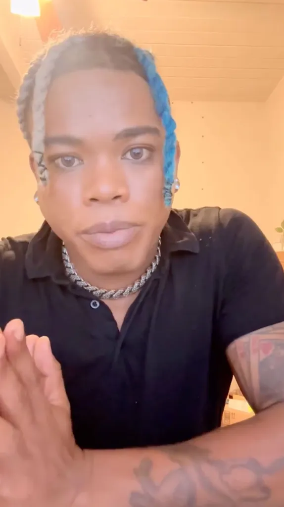 A person with blue and gray braided hair and a silver chain necklace looking forward.