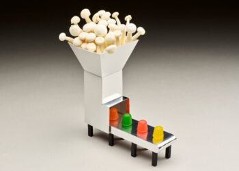 The Mushroom Gummies That Claim to Stimulate Your Brain