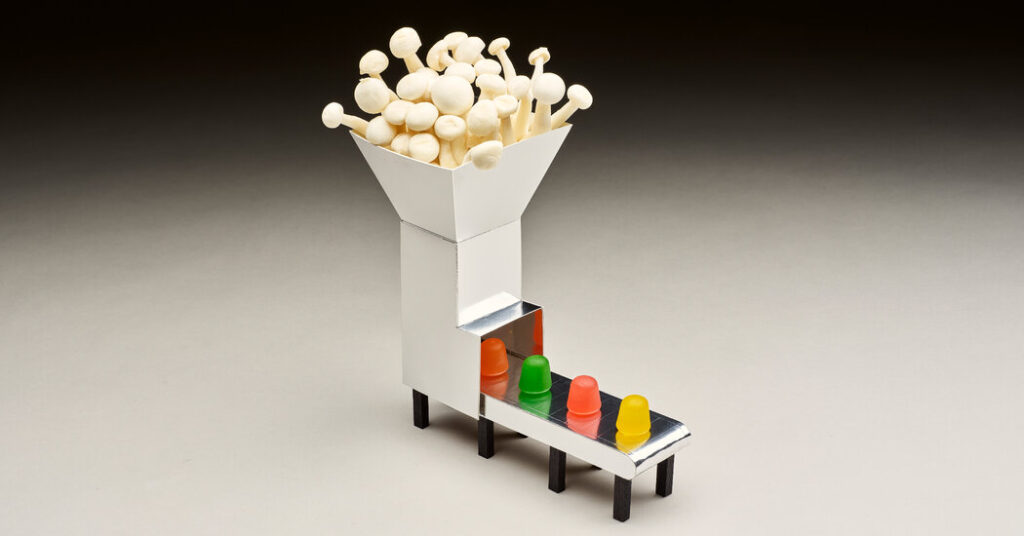 The Mushroom Gummies That Claim to Stimulate Your Brain