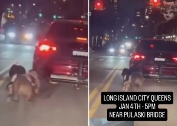 Heartless monster drags 2 dogs behind car in front of shocked NYC bystanders, disturbing video shows 