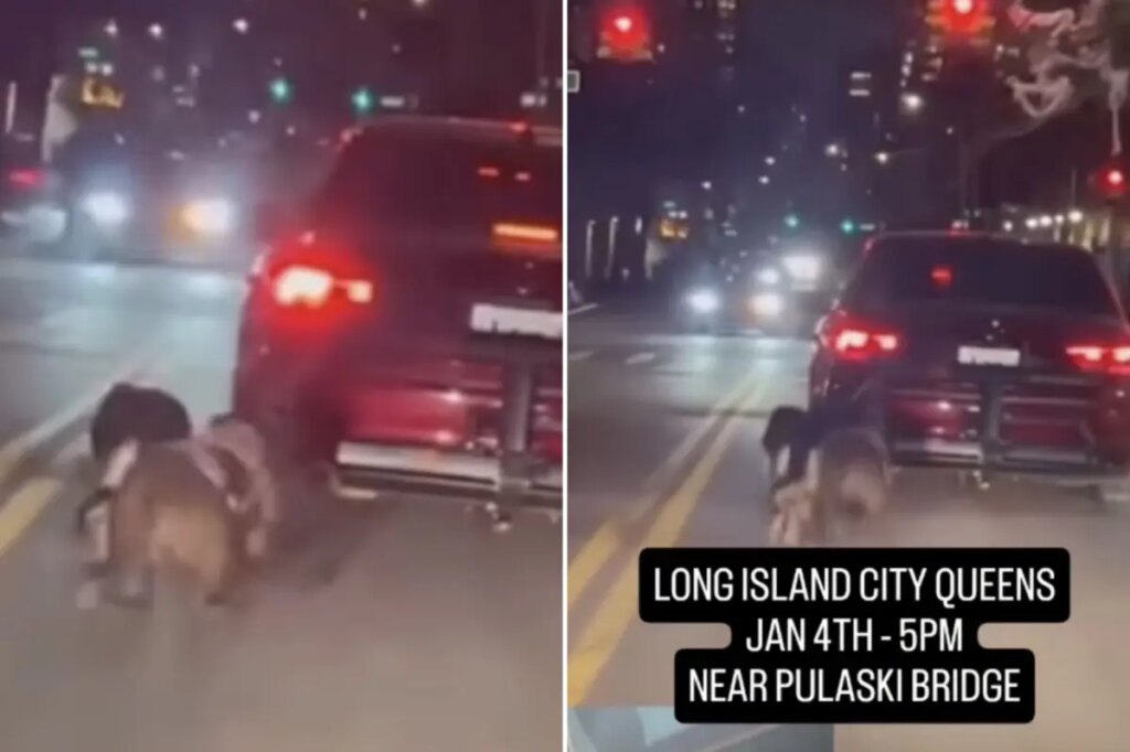 Heartless monster drags 2 dogs behind car in front of shocked NYC bystanders, disturbing video shows