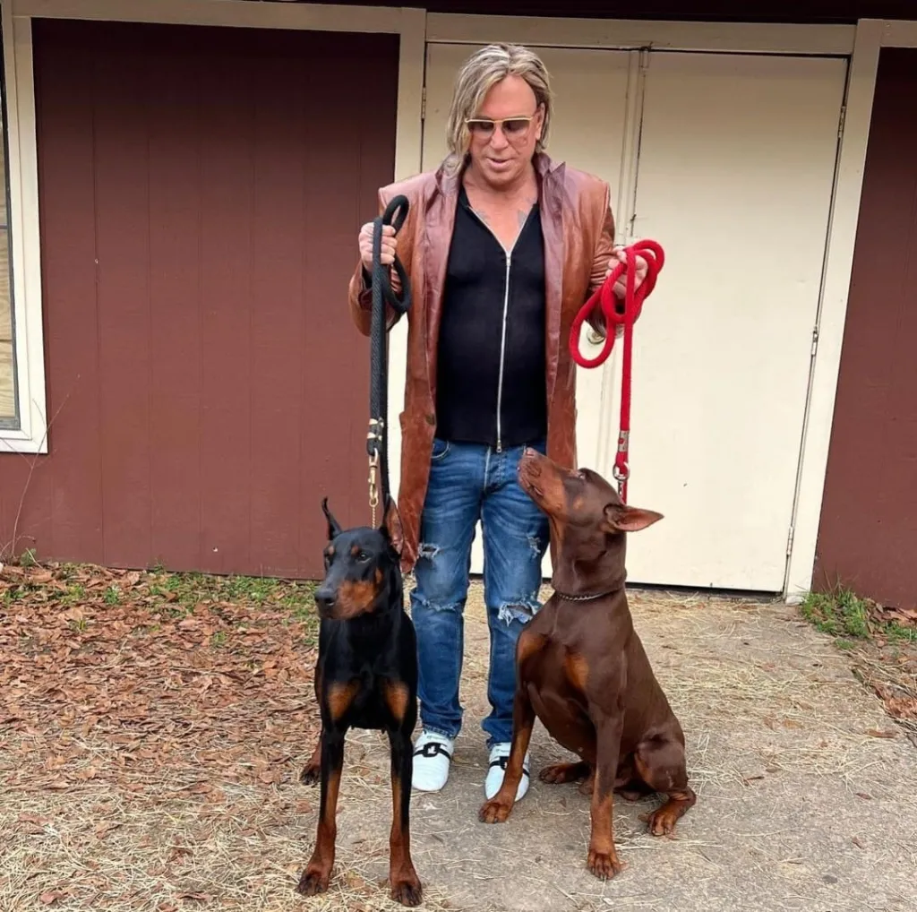 Mickey Rourke holding leashes of two Doberman Pinschers.