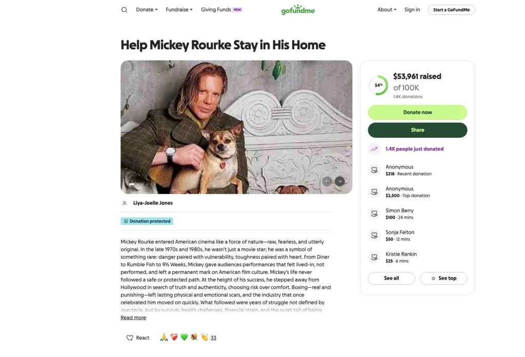 Screenshot of a GoFundMe page titled 