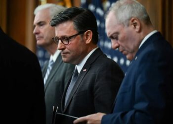 Dems force GOP to abandon DHS funding for upcoming debate after ICE shooting: report