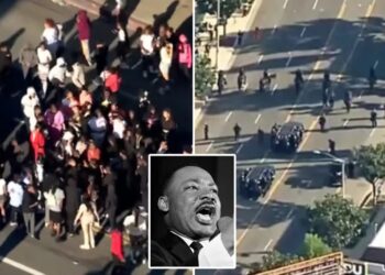 40-year-old stabbed, officer assaulted after brawl erupts at LA’s MLK Day Parade: cops, report