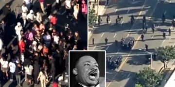 40-year-old stabbed, officer assaulted after brawl erupts at LA’s MLK Day Parade: cops, report