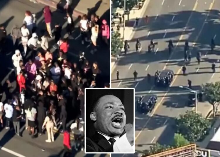 40-year-old stabbed, officer assaulted after brawl erupts at LA’s MLK Day Parade: cops, report