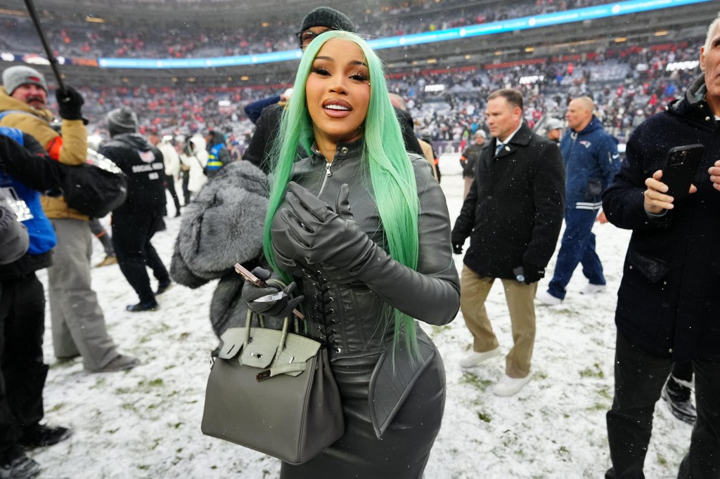Cardi B poses for a photo on a snowy field.