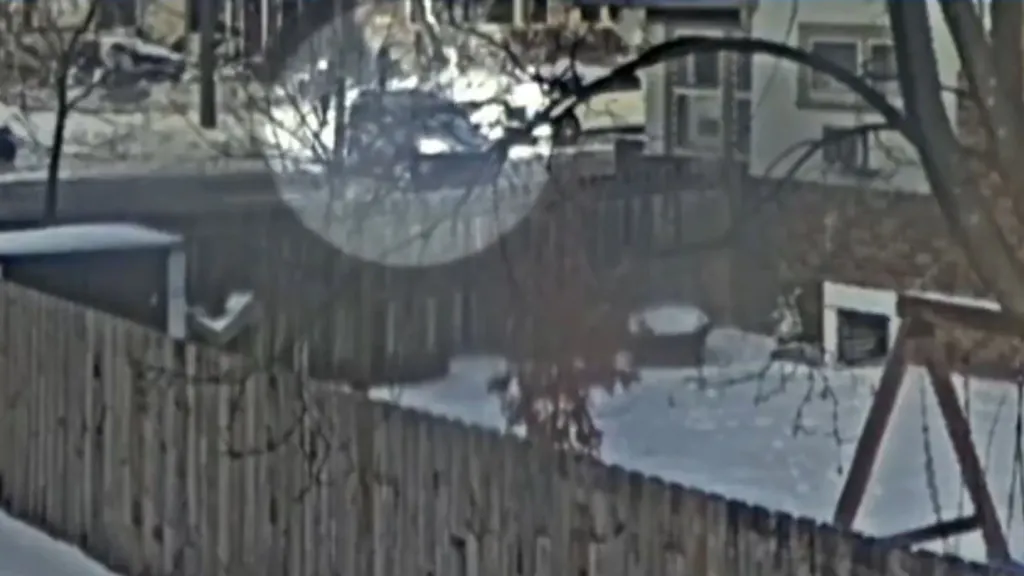 Video still of Renee Nicole Good appearing to block a road.