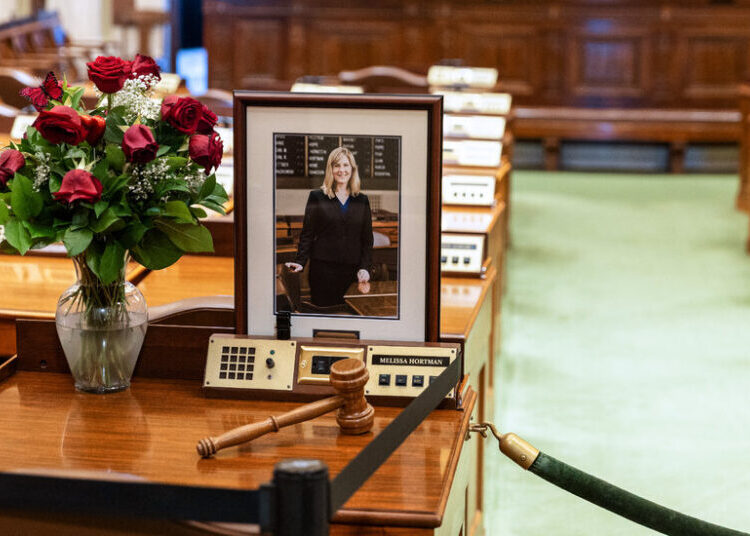 This Group Wants to Protect Candidates From a ‘Cloud’ of Political Violence