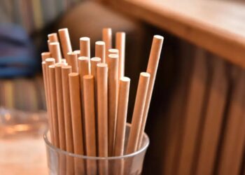Florida state officials move to ban paper straws at restaurants, citing ‘concerning health risks’